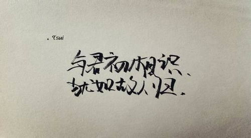 文化经纪人服务 连接创意与市场的专业桥梁