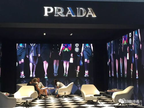 华商思考 | 月月专栏 从意大利观展看产品竞争四阶段——兼论文艺创作的文化营销之道